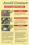 Plants to Avoid